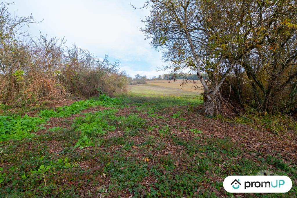 Terrain à vendre Tarn-et-Garonne Molieres - 82220 - Photos Vivastreet (V4940) Terrain agricole de 74 048 m²