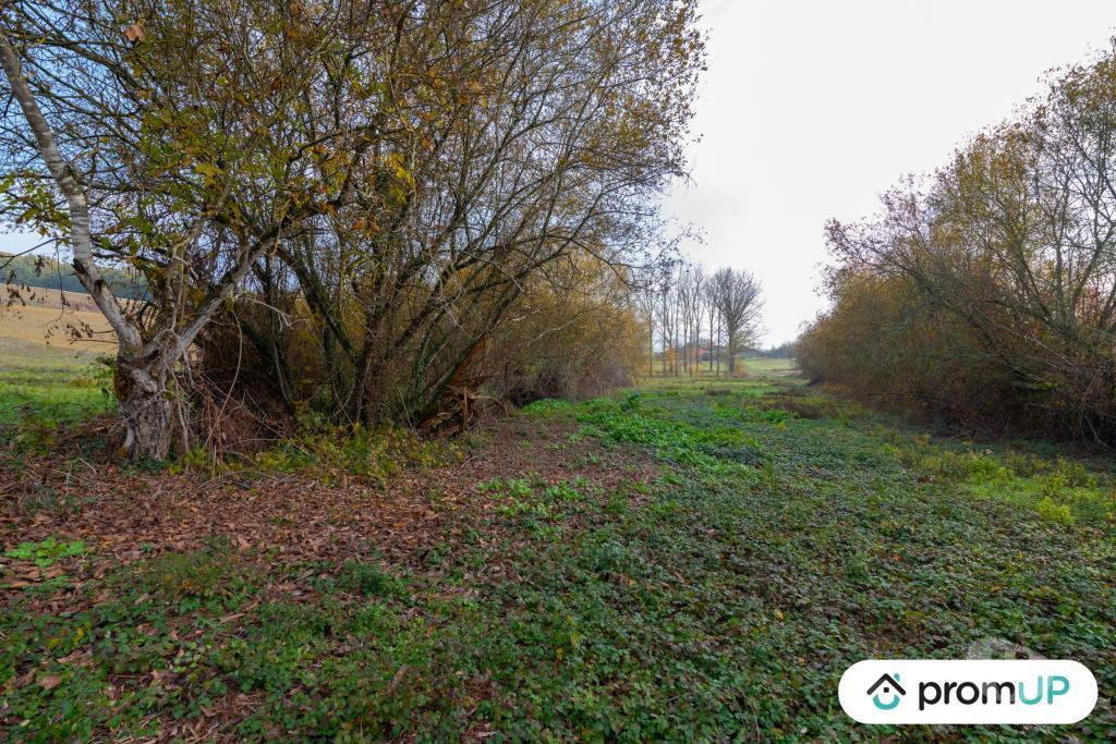 Terrain à vendre Tarn-et-Garonne Molieres - 82220 - Photos Vivastreet (V4940) Terrain agricole de 74 048 m²