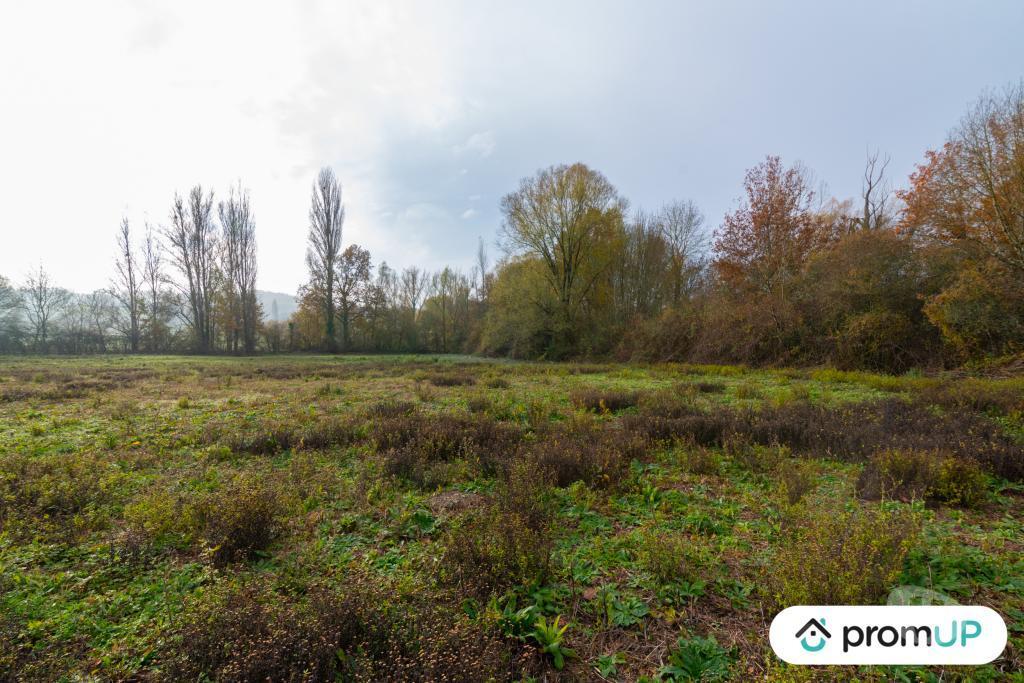 Terrain à vendre Tarn-et-Garonne Molieres - 82220 - Photos Vivastreet (V4940) Terrain agricole de 74 048 m²