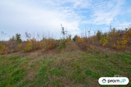 Vente Terrain Molieres Tarn-et-Garonne - Photos Vivastreet (V4940) Terrain agricole de 74 048 m²