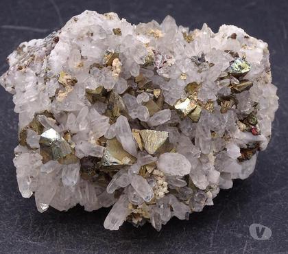 Collection Bertrichamps Meurthe-et-Moselle - Photos Vivastreet Chalcopyrite & Quartz , Conception Del Oro , Zacatecas , Mex