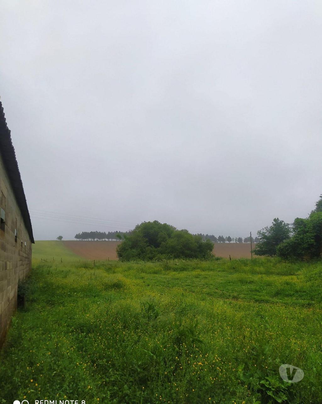 Vente Maison Gers Demu - 32190 - Photos Vivastreet Hangar sur plus de 26hectares