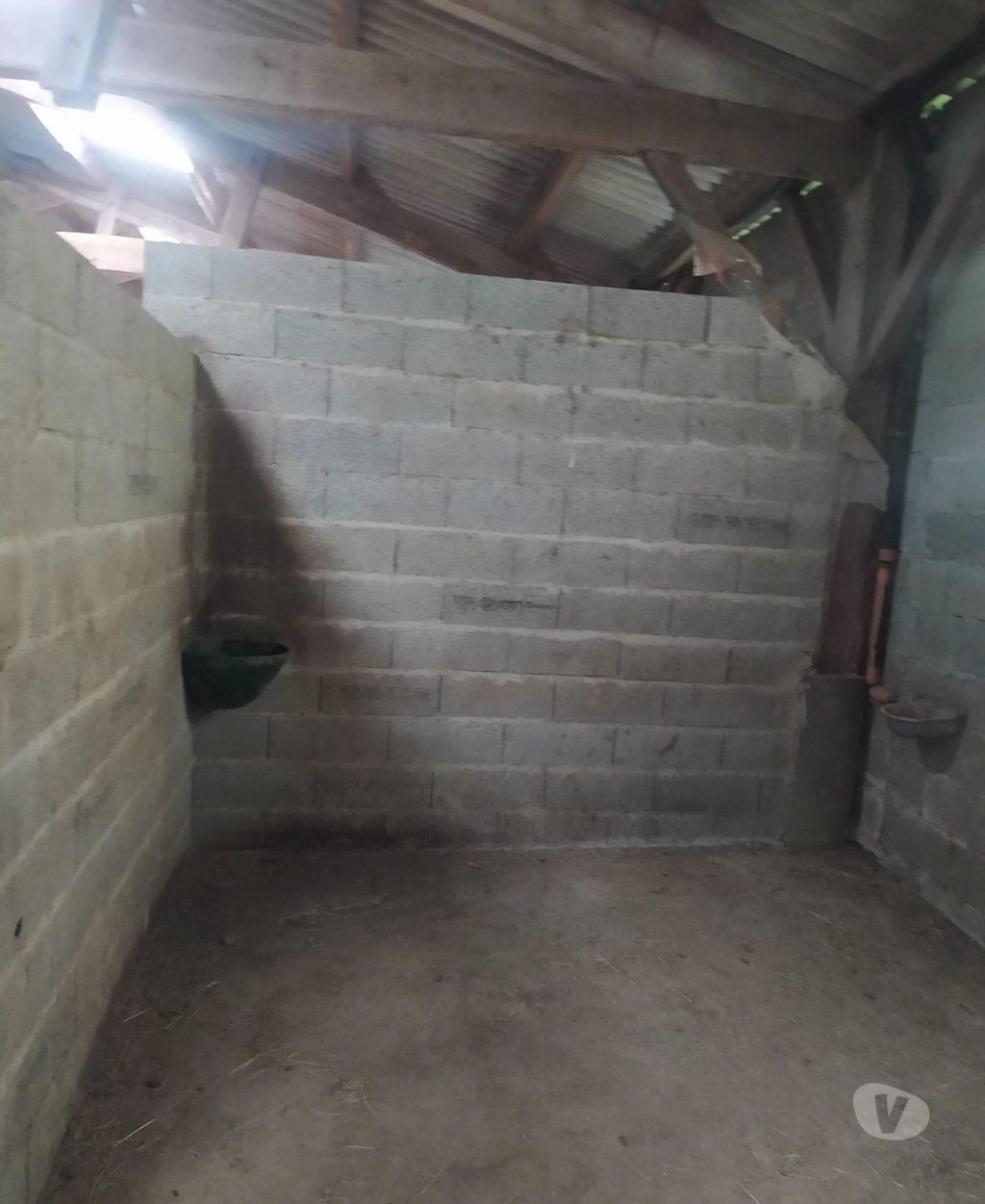 Vente Maison Gers Demu - 32190 - Photos Vivastreet Hangar sur plus de 26hectares