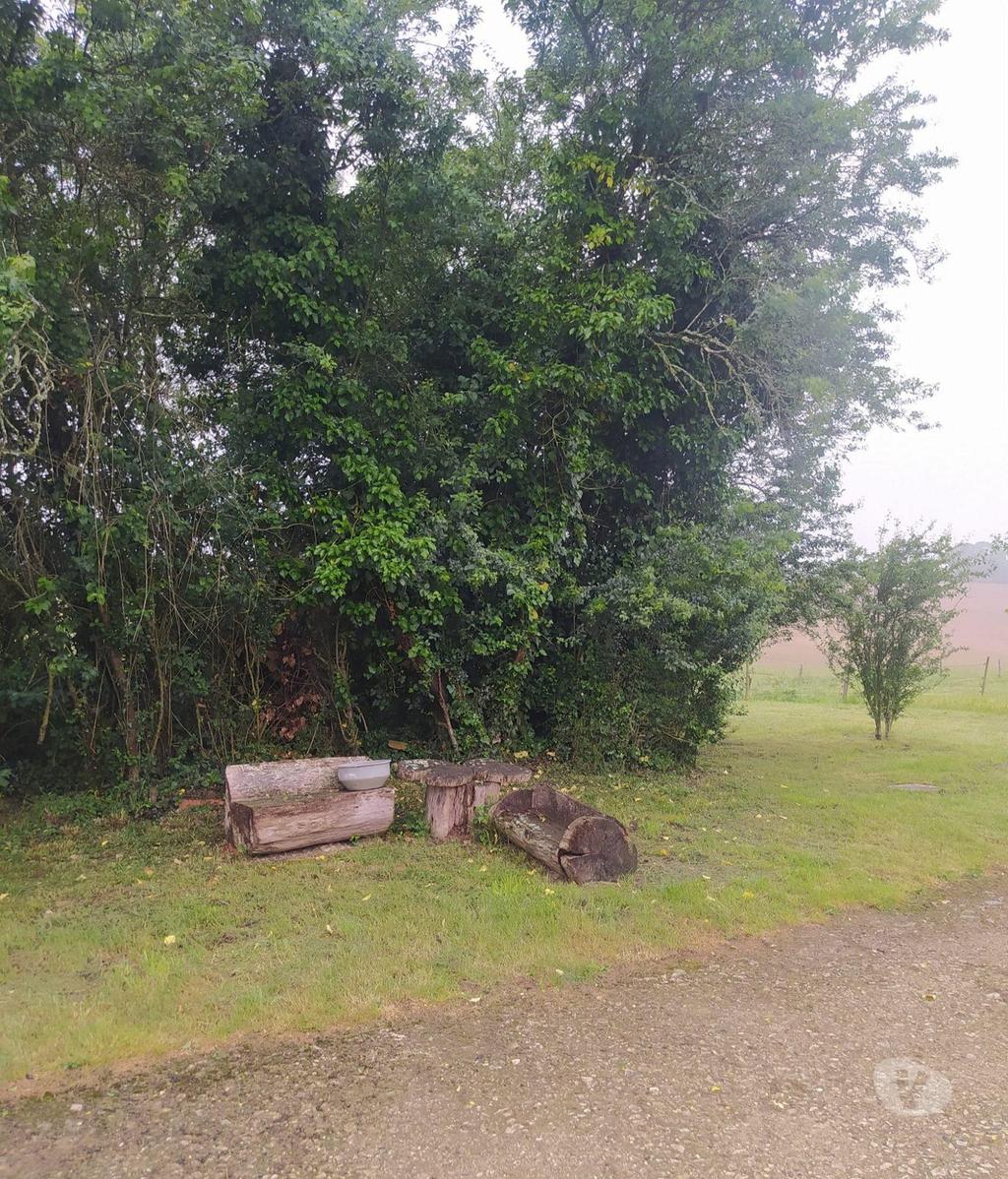 Vente Maison Gers Demu - 32190 - Photos Vivastreet Hangar sur plus de 26hectares