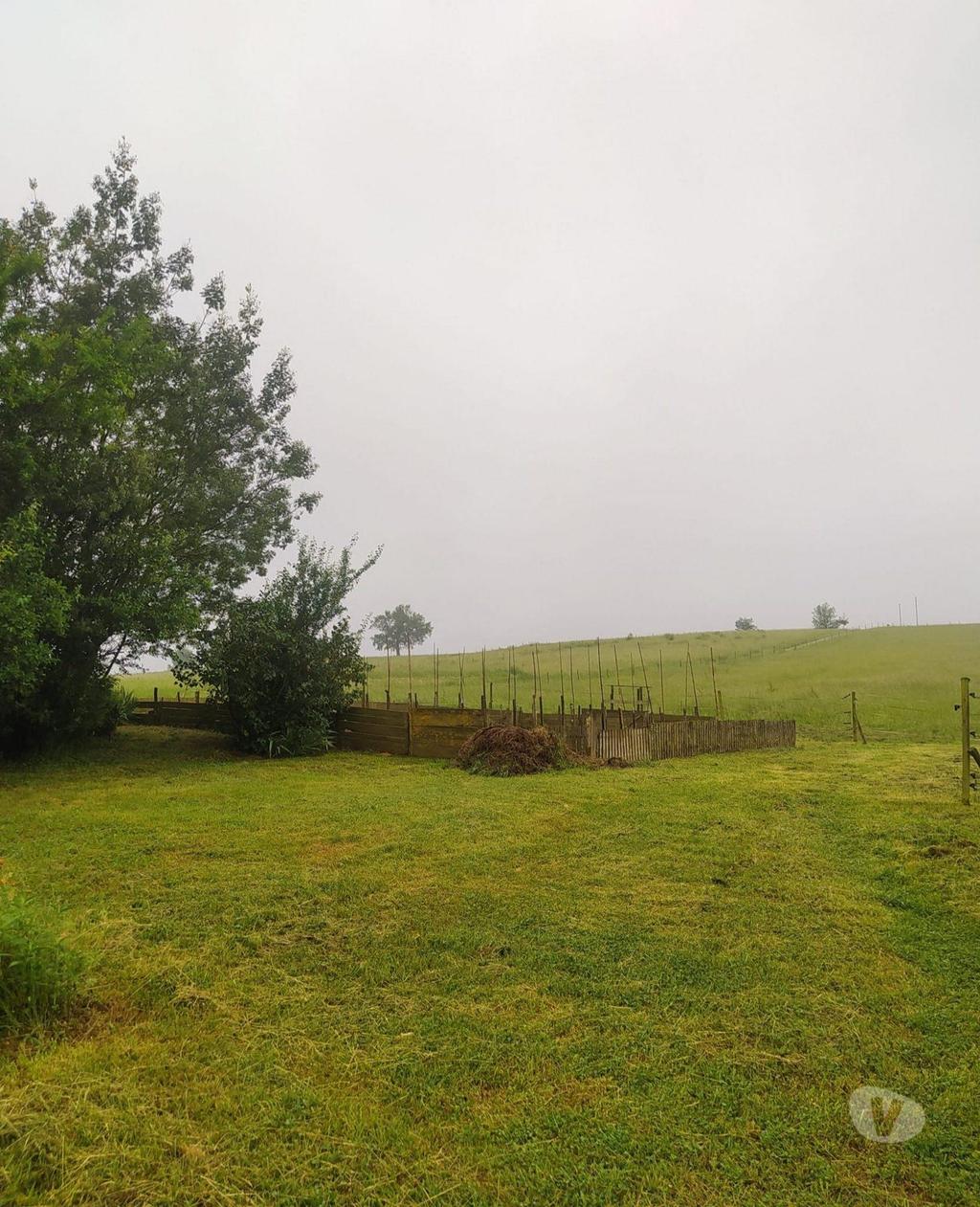 Vente Maison Gers Demu - 32190 - Photos Vivastreet Hangar sur plus de 26hectares