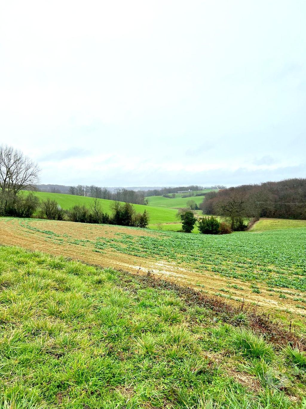 Vente Maison Gers Tillac - 32170 - Photos Vivastreet Terrain avec CU et hangar 290 m2