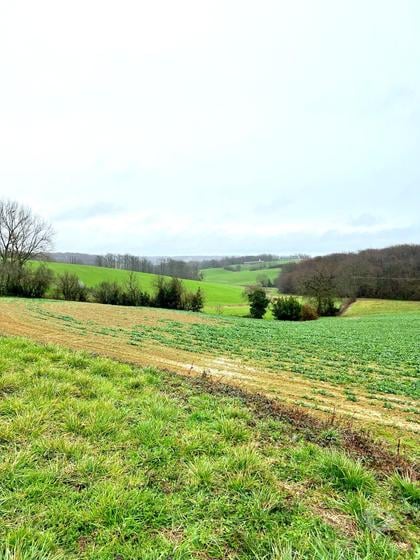Maison à vendre Tillac Gers - Photos Vivastreet Terrain avec CU et hangar 290 m2