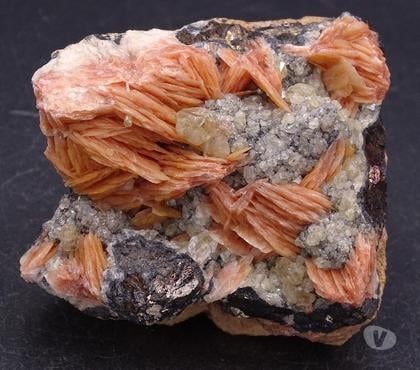 Collection Bertrichamps Meurthe-et-Moselle - Photos Vivastreet Cristaux de Cérusite & Baryte crêtée & Galène