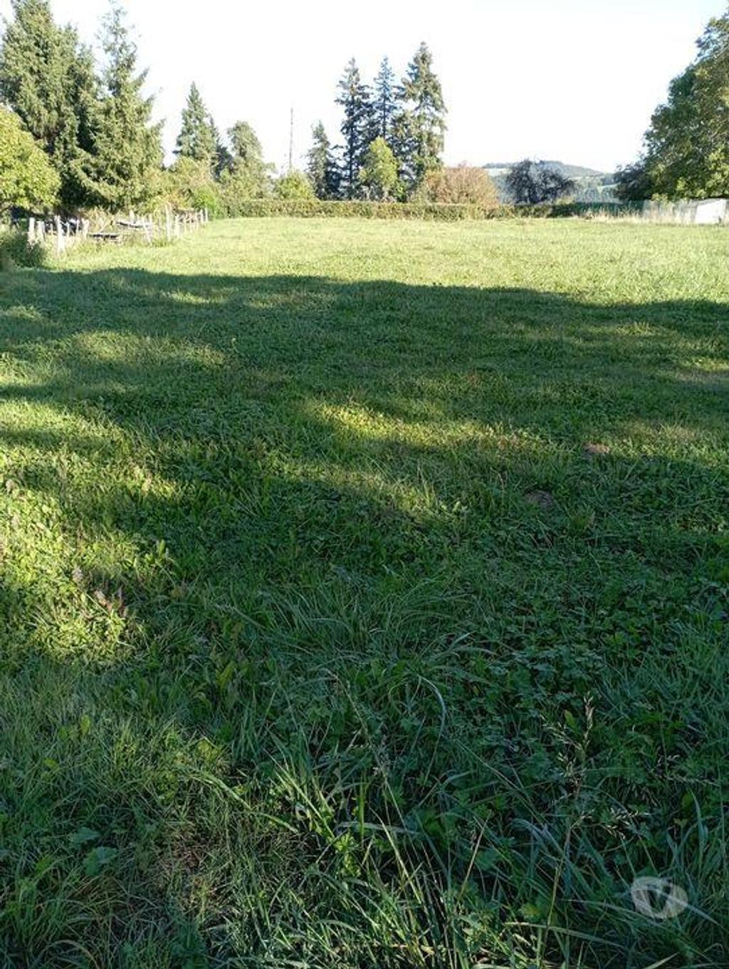 Terrain à vendre Allier Ferrieres sur Sichon - 03250 - Photos Vivastreet Terrain constructible, rectangulaire et plat avec CU !!