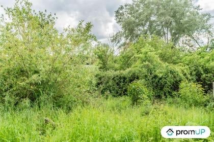 Vente Terrain Gien Gien - Photos Vivastreet (V5884) Terrain constructible de 798 m2 à Gien