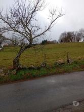 Grand terrain constructible !!