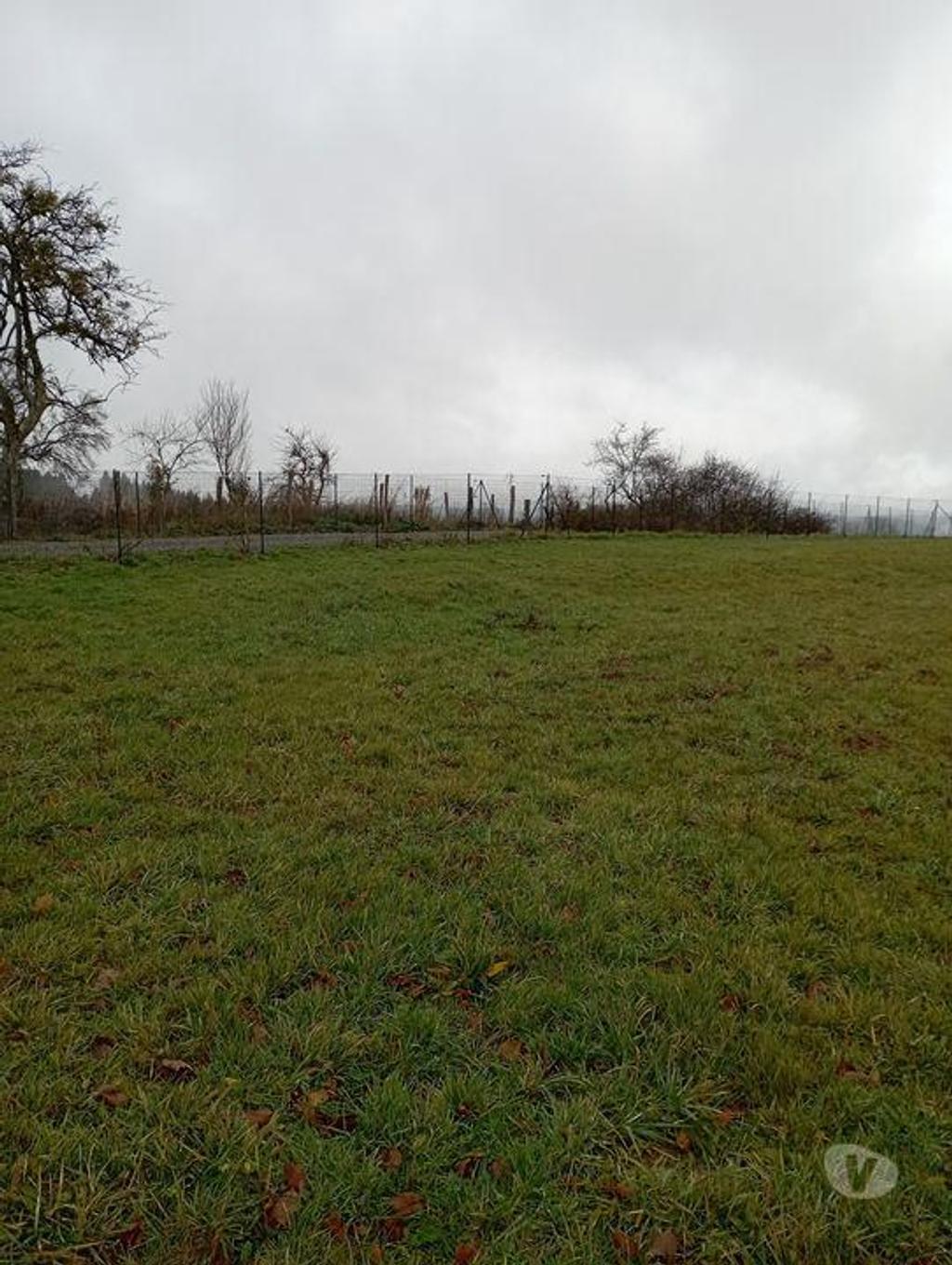 Terrain à vendre Allier Busset - 03270 - Photos Vivastreet Grand terrain constructible !!