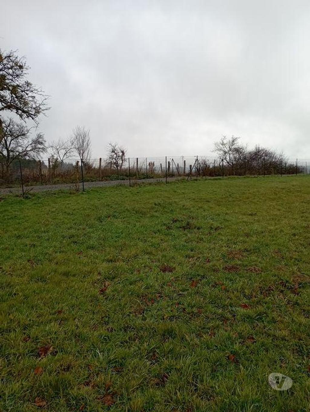 Terrain à vendre Allier Busset - 03270 - Photos Vivastreet Grand terrain constructible !!