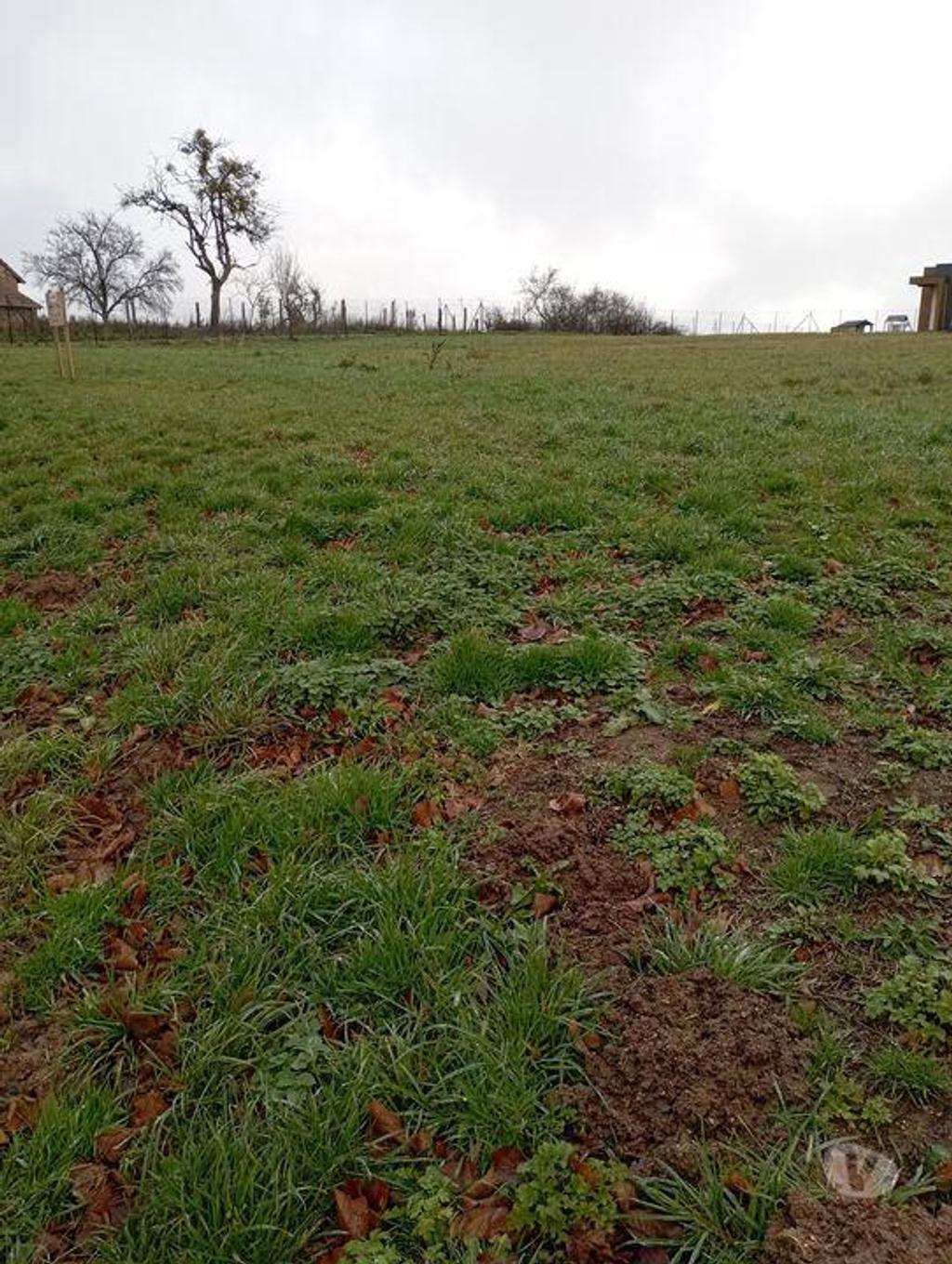 Terrain à vendre Allier Busset - 03270 - Photos Vivastreet Grand terrain constructible !!
