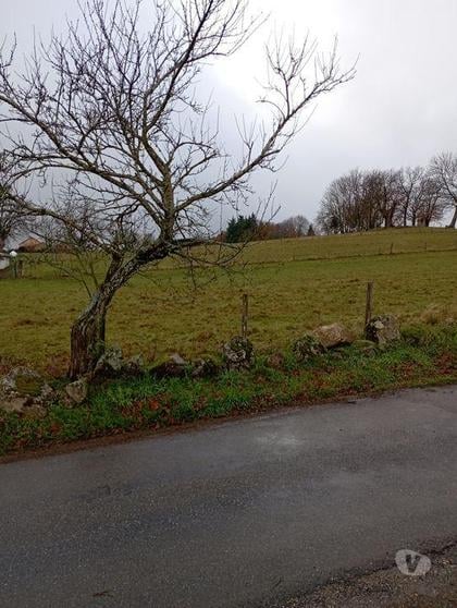 Vente Terrain Busset Allier - Photos Vivastreet Grand terrain constructible !!