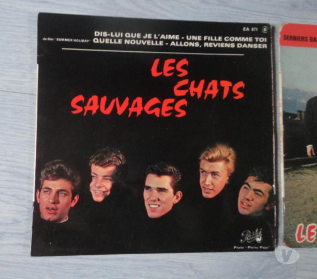 Collection Oise Bornel - 60540 - Photos Vivastreet 2 Disques Les Chats Sauvages