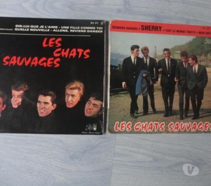 Collection Bornel Oise - Photos Vivastreet 2 Disques Les Chats Sauvages