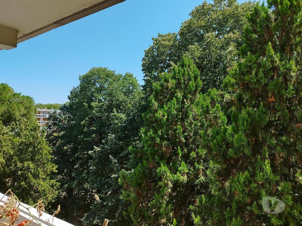 Appartements à vendre Vaucluse Avignon - 84000 - Photos Vivastreet (1121_2758_vs) Appartement T3