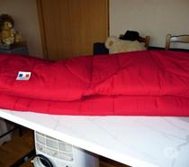 OPPORTUNITE HOUSSE DE BZ MATELASSÉE 160x200 ROUGE NEUF