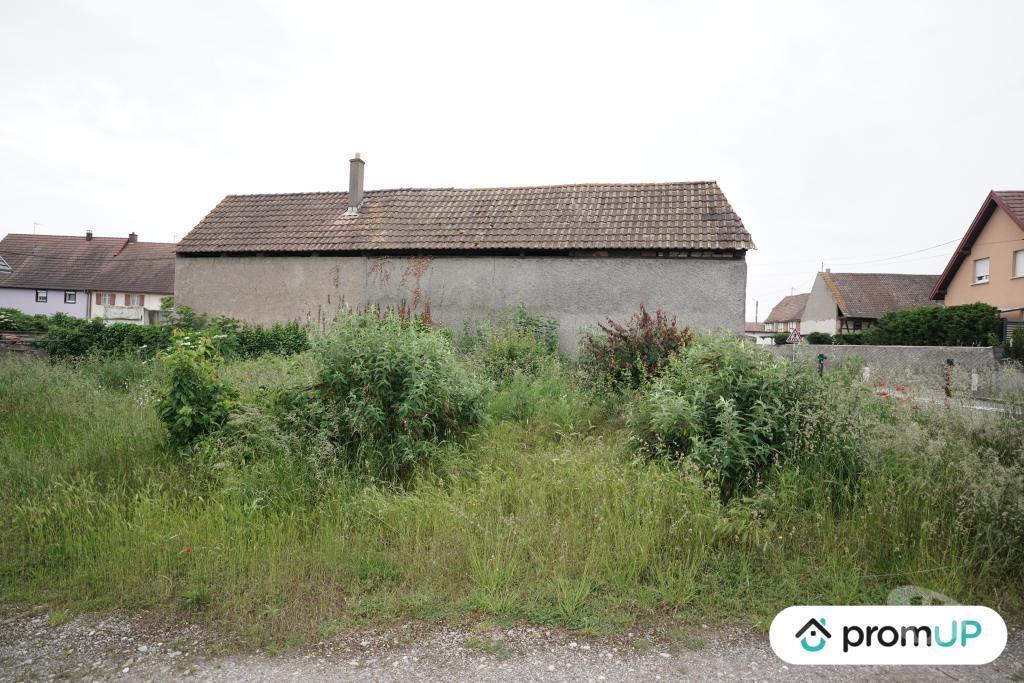 Terrain à vendre Haut-Rhin Hirtzfelden - 68740 - Photos Vivastreet (V6678) Terrain constructible de 477 m2 à HIRTZFELDEN
