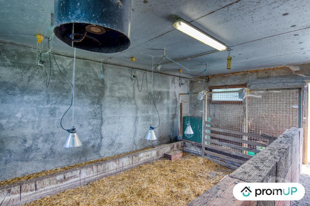 Vente Maison Charente Challignac - 16300 - Photos Vivastreet (VM4355) Corps de ferme en Charente
