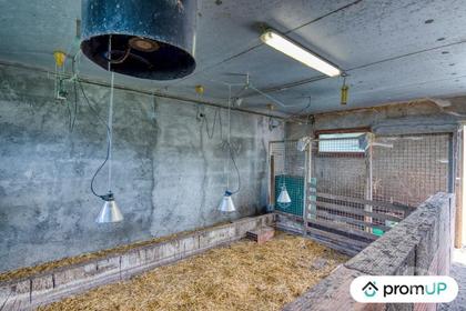 Maison à vendre Challignac Charente - Photos Vivastreet (VM4355) Corps de ferme en Charente