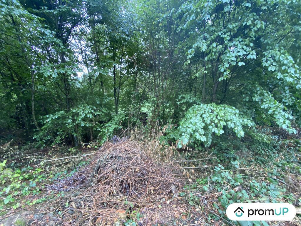 Terrain à vendre Territoire de Belfort Rechesy - 90370 - Photos Vivastreet (V6224) Terrain constructible de 760 m2 à RÉCHÉSY