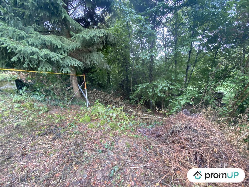 Terrain à vendre Territoire de Belfort Rechesy - 90370 - Photos Vivastreet (V6224) Terrain constructible de 760 m2 à RÉCHÉSY