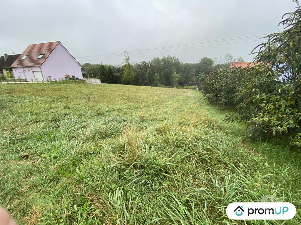Terrain à vendre Territoire de Belfort Rechesy - 90370 - Photos Vivastreet (V6225) Terrain constructible de 1385 m2 à Réchésy