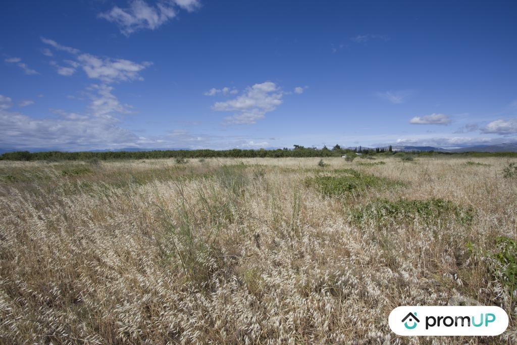 Terrain à vendre Pyrénées-Orientales St Hippolyte - 66510 - Photos Vivastreet (V6747) Terrain non constructible de 5210 m2 à SAINT-HIPPOLYTE