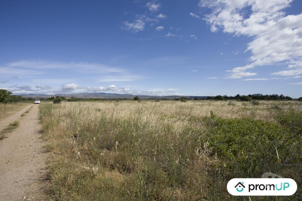Terrain à vendre Pyrénées-Orientales St Hippolyte - 66510 - Photos Vivastreet (V6747) Terrain non constructible de 5210 m2 à SAINT-HIPPOLYTE