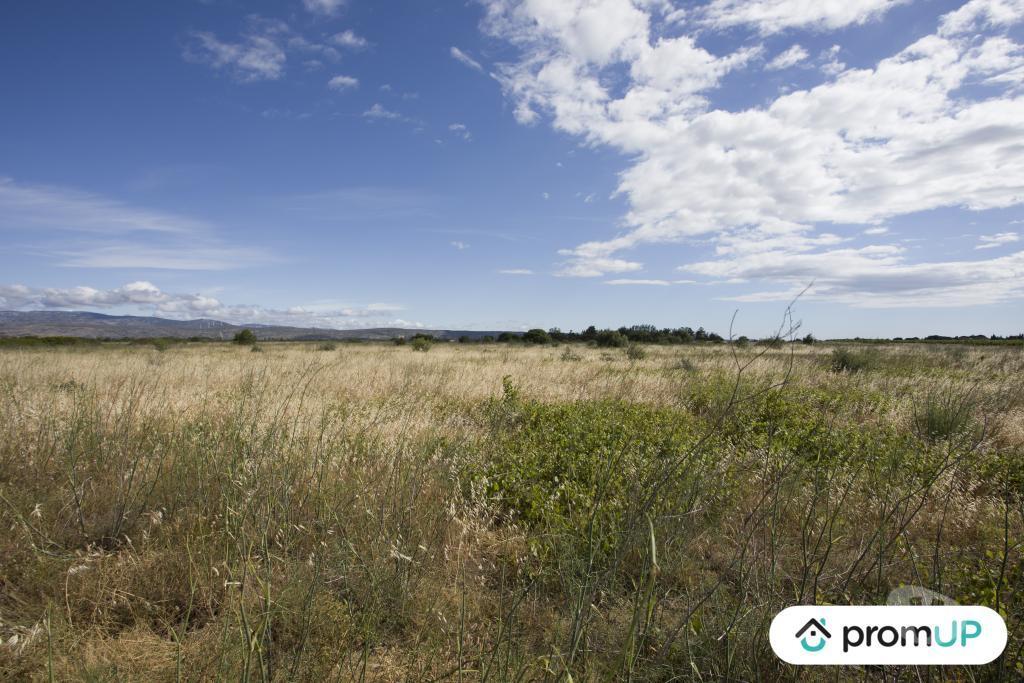 Terrain à vendre Pyrénées-Orientales St Hippolyte - 66510 - Photos Vivastreet (V6747) Terrain non constructible de 5210 m2 à SAINT-HIPPOLYTE