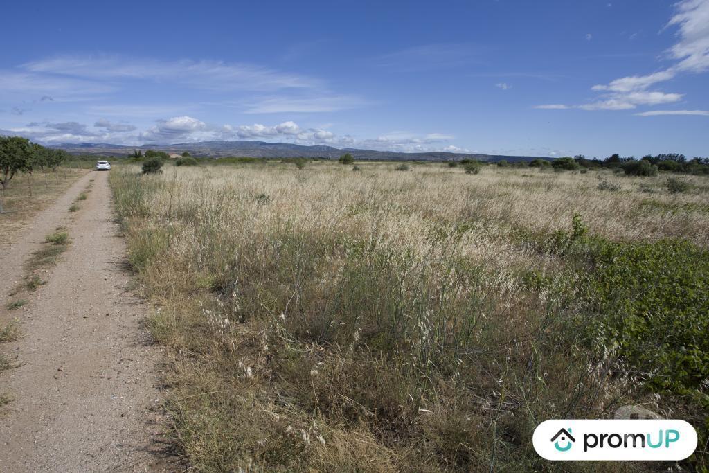Terrain à vendre Pyrénées-Orientales St Hippolyte - 66510 - Photos Vivastreet (V6747) Terrain non constructible de 5210 m2 à SAINT-HIPPOLYTE