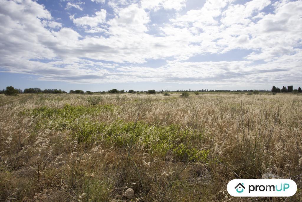 Terrain à vendre Pyrénées-Orientales St Hippolyte - 66510 - Photos Vivastreet (V6747) Terrain non constructible de 5210 m2 à SAINT-HIPPOLYTE