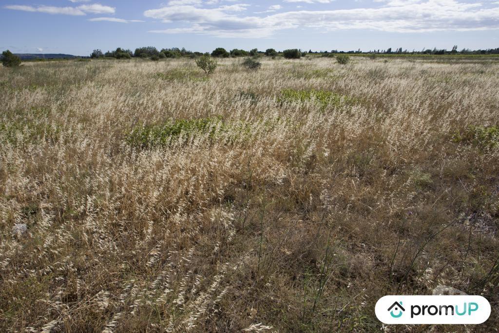Terrain à vendre Pyrénées-Orientales St Hippolyte - 66510 - Photos Vivastreet (V6747) Terrain non constructible de 5210 m2 à SAINT-HIPPOLYTE