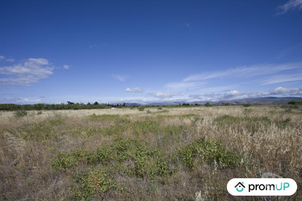 Terrain à vendre Pyrénées-Orientales St Hippolyte - 66510 - Photos Vivastreet (V6747) Terrain non constructible de 5210 m2 à SAINT-HIPPOLYTE