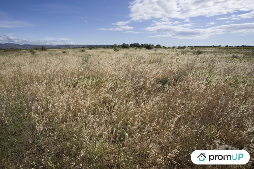 Terrain à vendre Pyrénées-Orientales St Hippolyte - 66510 - Photos Vivastreet (V6747) Terrain non constructible de 5210 m2 à SAINT-HIPPOLYTE