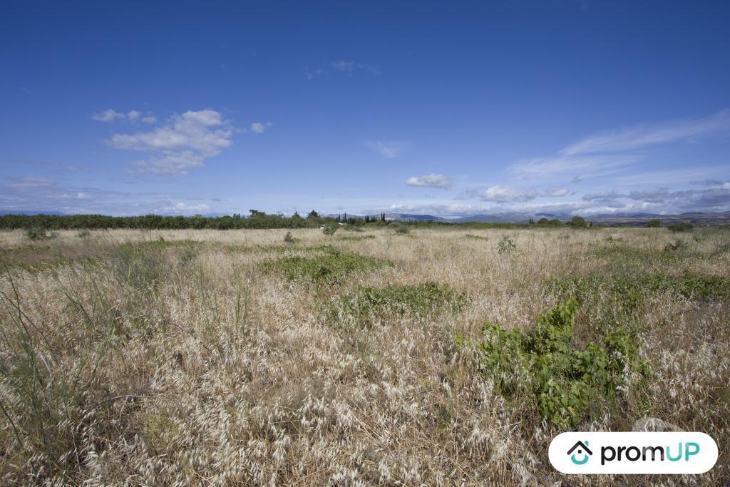 Terrain à vendre Pyrénées-Orientales St Hippolyte - 66510 - Photos Vivastreet (V6747) Terrain non constructible de 5210 m2 à SAINT-HIPPOLYTE