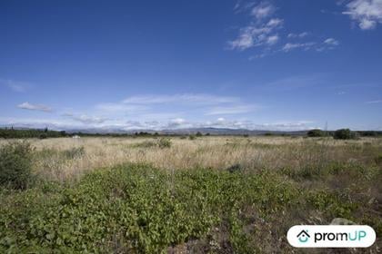 Vente Terrain St Hippolyte Pyrénées-Orientales - Photos Vivastreet (V6747) Terrain non constructible de 5210 m2 à SAINT-HIPPOLYTE