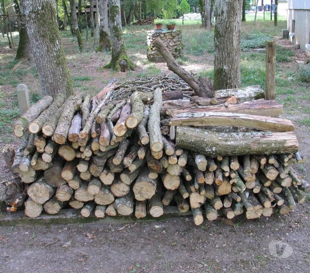  Loiret Griselles - 45210 - Photos Vivastreet Gros bois de chauffage et charbonnette