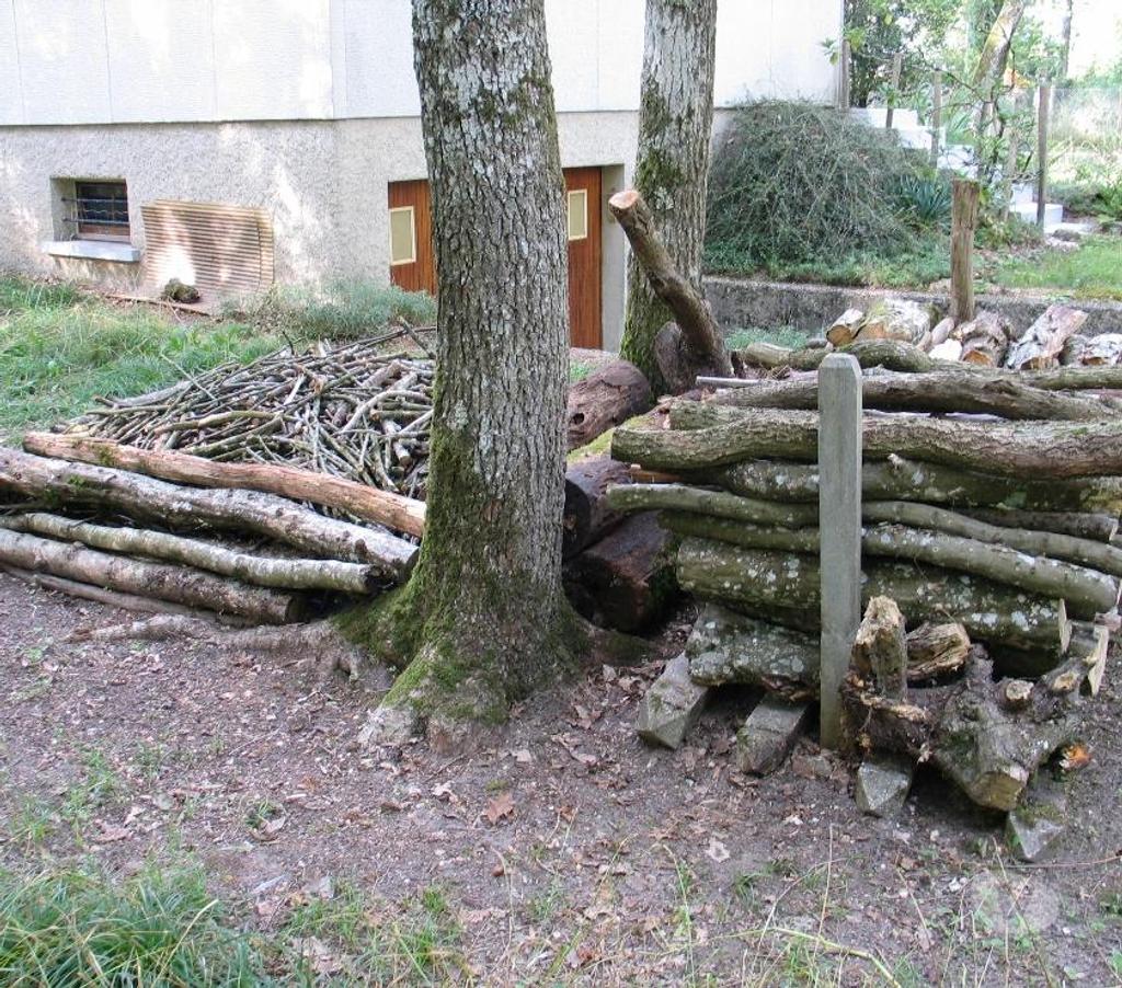  Loiret Griselles - 45210 - Photos Vivastreet Gros bois de chauffage et charbonnette
