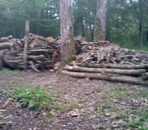 Gros bois de chauffage et charbonnette