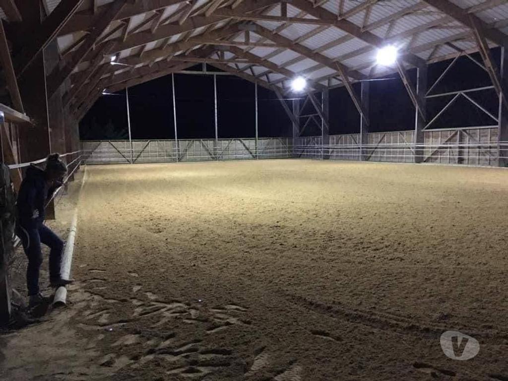 Vente Maison Gironde Bazas - 33430 - Photos Vivastreet Propriété equestre en parfait état manège carrière ecurie