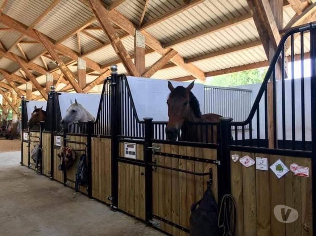 Vente Maison Gironde Bazas - 33430 - Photos Vivastreet Propriété equestre en parfait état manège carrière ecurie