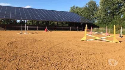 Vente Maison Bazas Gironde - Photos Vivastreet Propriété equestre en parfait état manège carrière ecurie