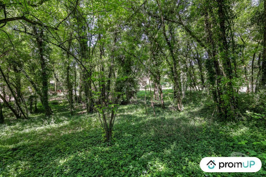 Terrain à vendre Charente Vars - 16330 - Photos Vivastreet (V6759) Terrain de 8860 m2 à VARS