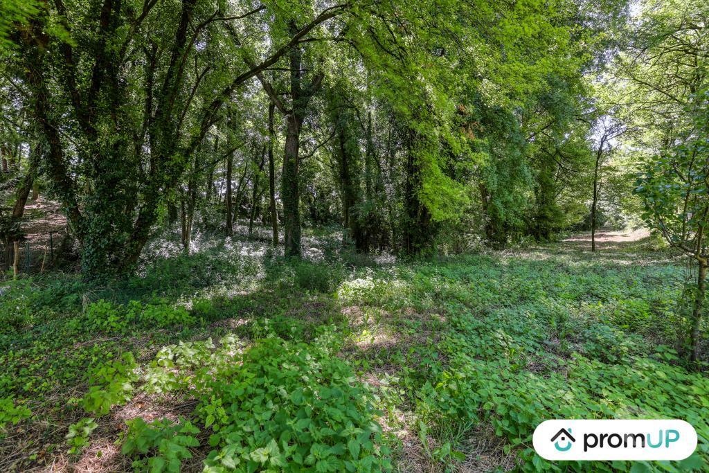 Terrain à vendre Charente Vars - 16330 - Photos Vivastreet (V6759) Terrain de 8860 m2 à VARS