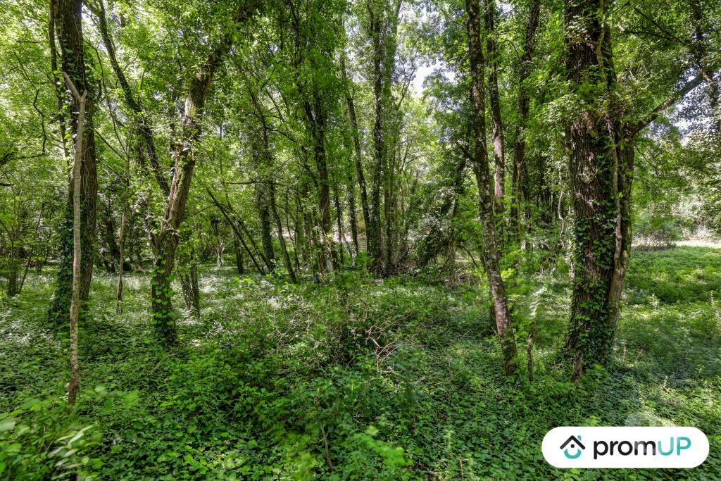 Terrain à vendre Charente Vars - 16330 - Photos Vivastreet (V6759) Terrain de 8860 m2 à VARS