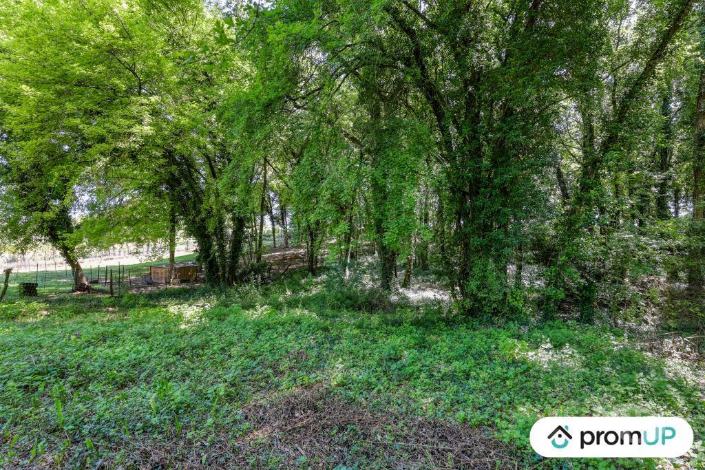Terrain à vendre Charente Vars - 16330 - Photos Vivastreet (V6759) Terrain de 8860 m2 à VARS
