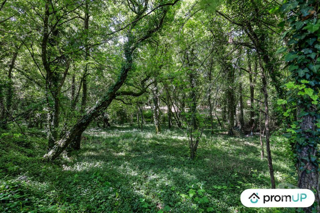 Terrain à vendre Charente Vars - 16330 - Photos Vivastreet (V6759) Terrain de 8860 m2 à VARS